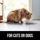 Силиконова подложка за храна и вода на кучета и котки - 13