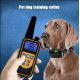 Електронен нашийник за обучение на кучета