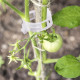 Клипс за поддържане на домати и растения - комплект 50 броя
