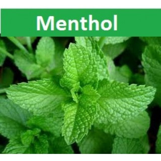 Dekang - Мента 10мл. / 24 мг.