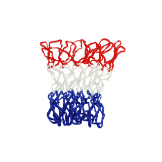 Dichtaki-Mpasketas-1070853