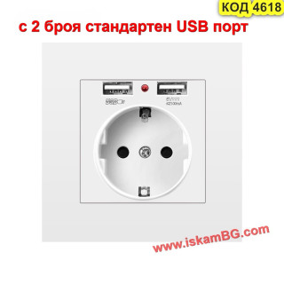 Единичен контакти с два стандартни USB порта 2.1A