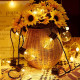 Светещ гирлянд с крушки за открито на 220V – 10 метра