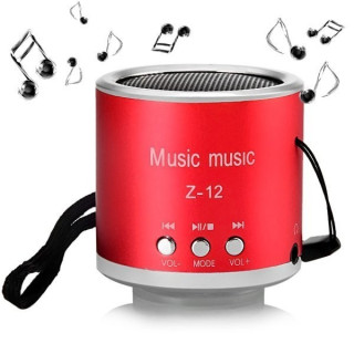 Тонколонка с USB флашка, карта памет и радио